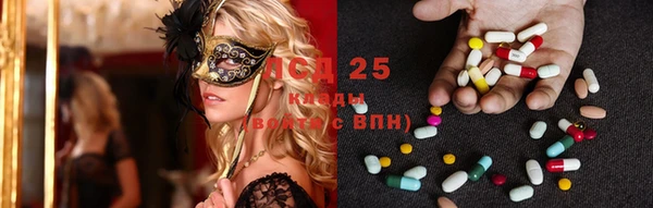 PSILOCYBIN Алексин