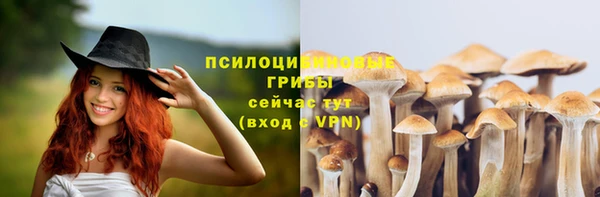 прущий лед Нея