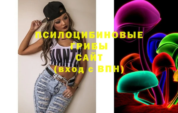PSILOCYBIN Алексин