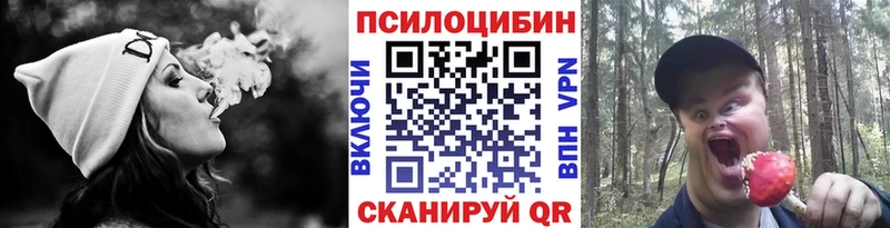 Псилоцибиновые грибы MAGIC MUSHROOMS  наркота  Пустошка 